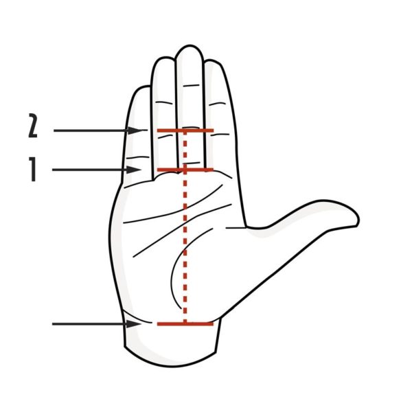 Picsil Grips Sizing Guide ArmourUP Asia Singapore