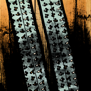 Weightlifting Beagle Wrist Wraps 2 ArmourUP Asia Singapore